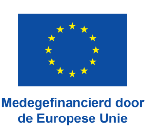 Logo Medegefinancierd door de Europese Unie kleur