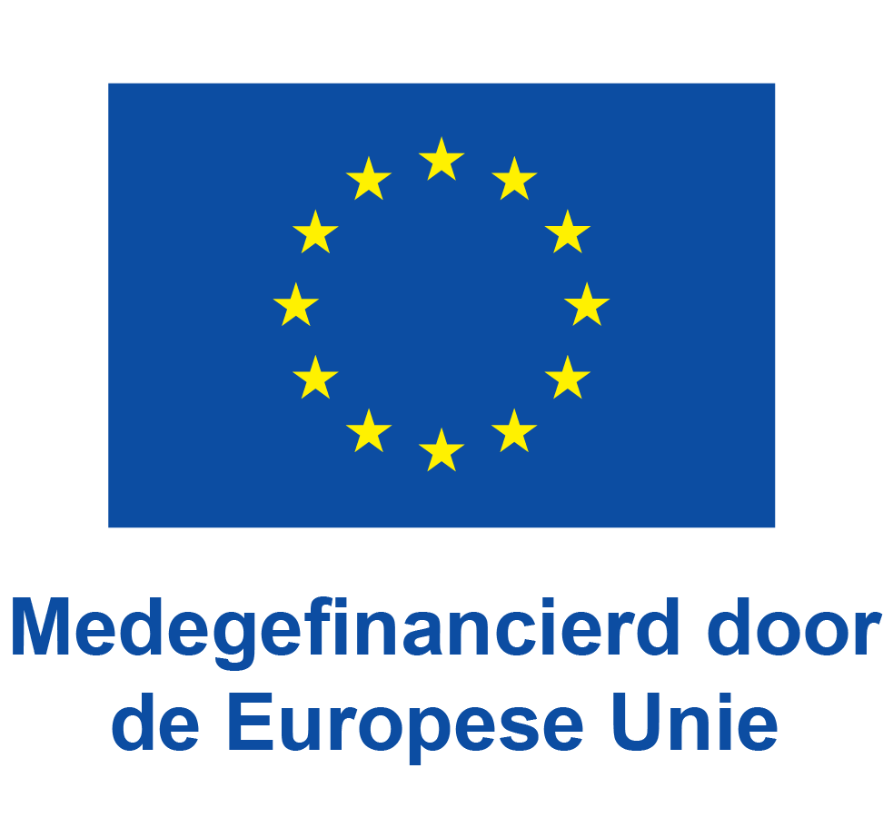 Logo Medegefinancierd door de Europese Unie kleur