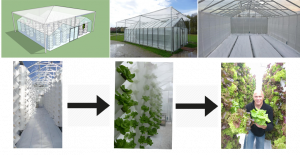 Ontwikkeling Urban Farming principe