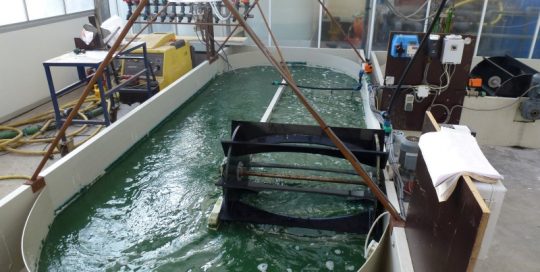 Innovatieve conversie van algen in biobrandstof