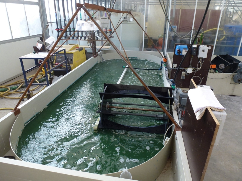 Innovatieve conversie van algen in biobrandstof