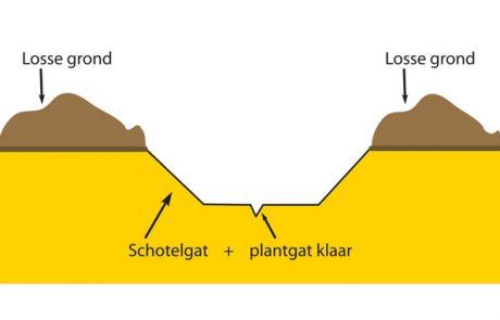 Ontwerp en constructie van een multifunctionele capillairboor voor boomteelt