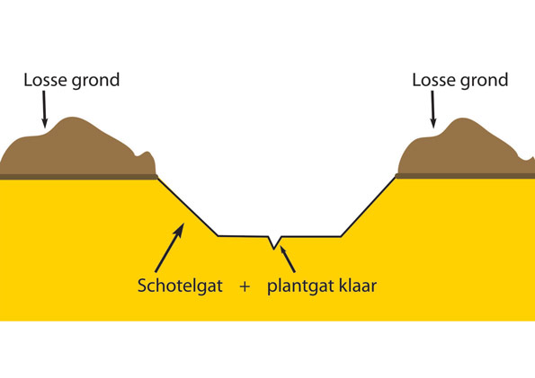 Ontwerp en constructie van een multifunctionele capillairboor voor boomteelt