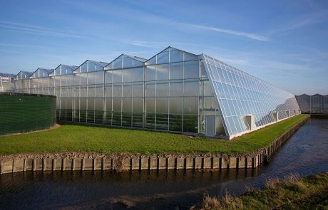 Ontwikkeling van een kas-analyser voor de glastuinbouw