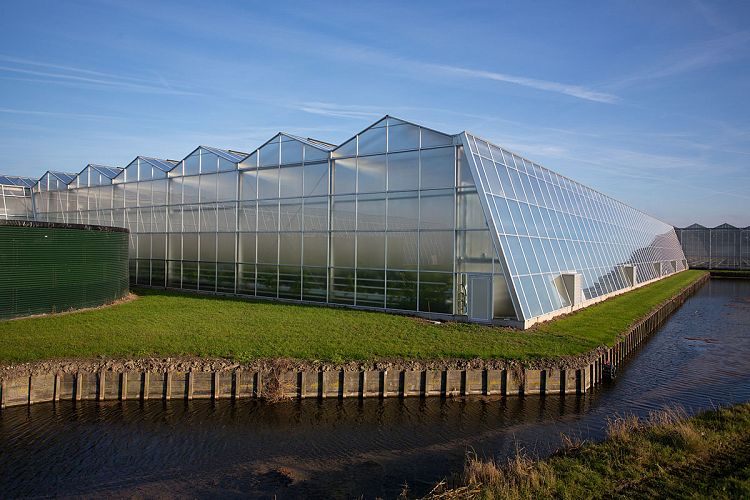 Ontwikkeling van een kas-analyser voor de glastuinbouw