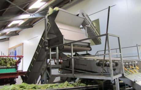 Ontwikkeling van een suikermaïskolven ontbladermachine voor de versmarkt