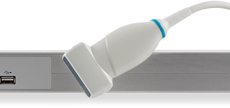 Ultrasound Tissue Characterisation