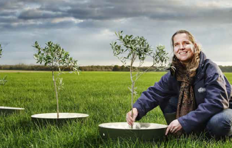 Ontwerp en proefproductie van de Bio-WaterBoxx voor stimulering van boomteelt