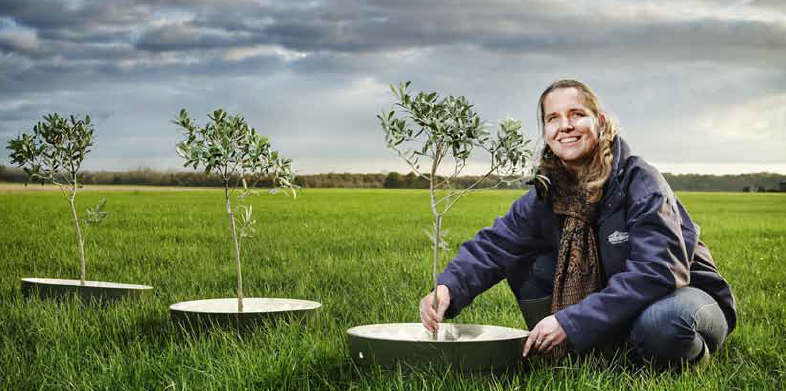 Ontwerp en proefproductie van de Bio-WaterBoxx voor stimulering van boomteelt