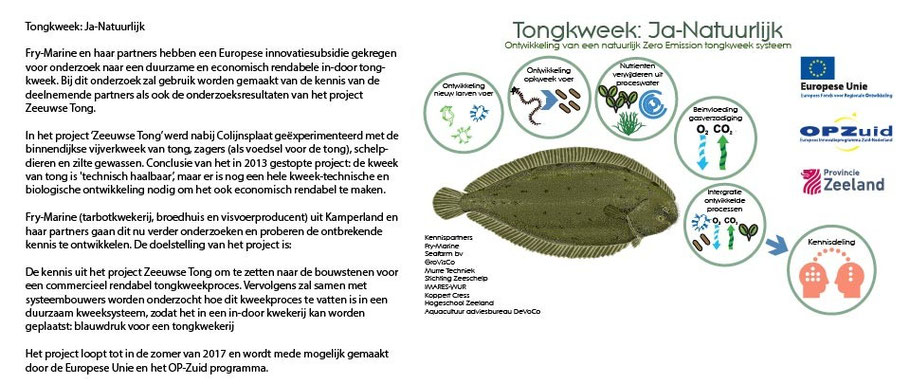 Tongkweek