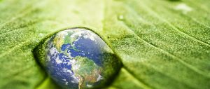 SCeLiO-4B : Suikers, cellulose en lignine opschaling naar BioBased Building Blocks