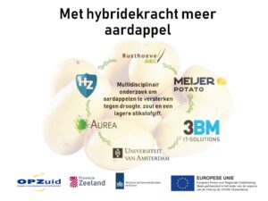 Afbeelding bij artikel over REACT-EU project Met hybridekracht meer aardappel