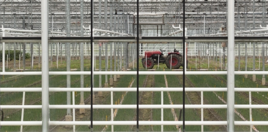 Agro-innovatie