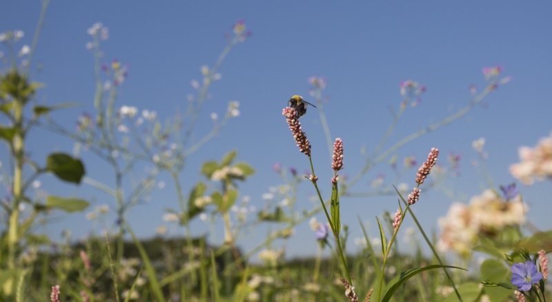 Proeftuin productinnovatie Streekproducten Brabant