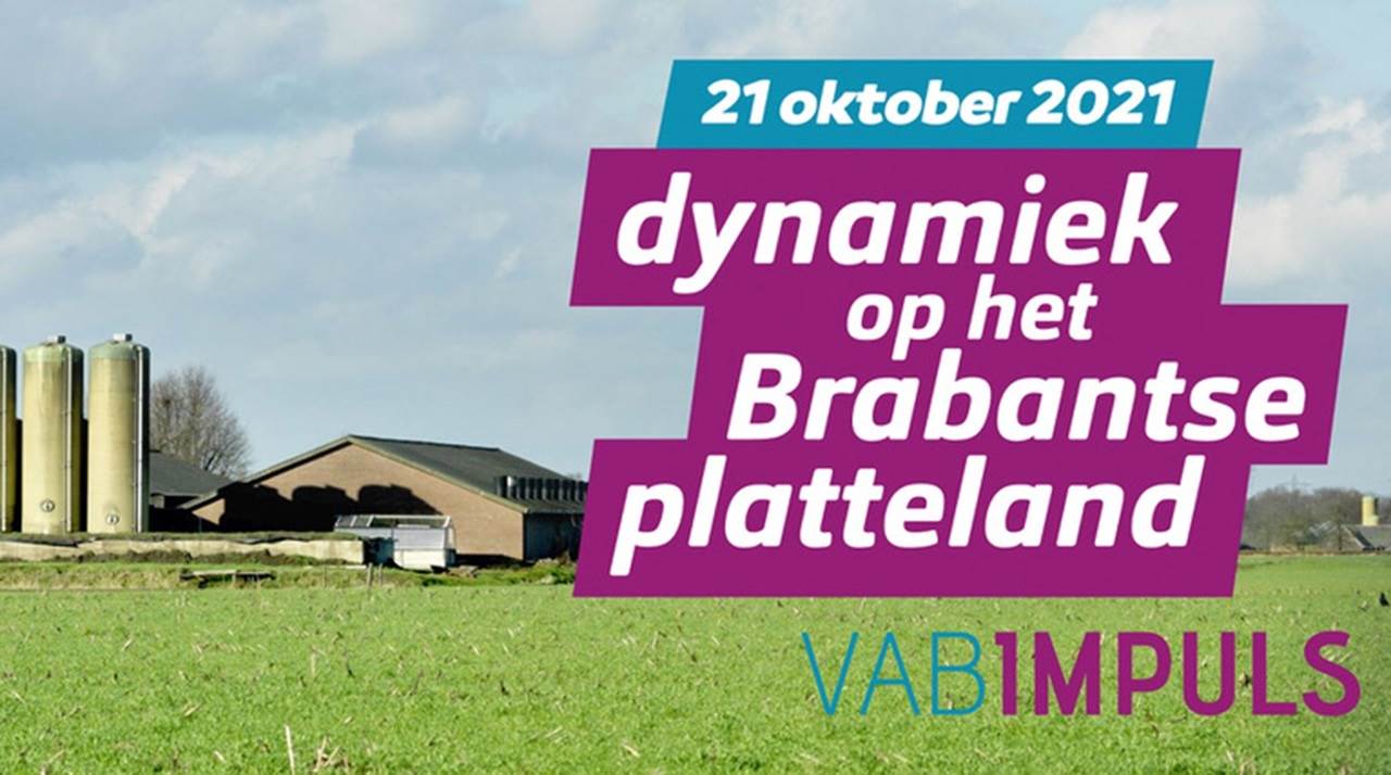 Afbeelding bij Dynamiek op het Brabantse platteland VABIMPULS