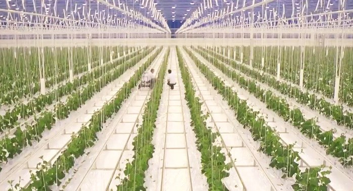 Agrofood meets high tech